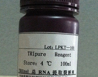 RNA總提取液