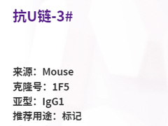 抗U鏈-3#