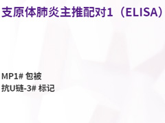 支原體肺炎主推配對1（ELISA）