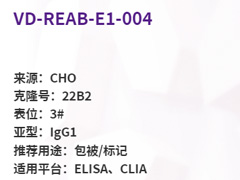 VD-REAB-E1-004